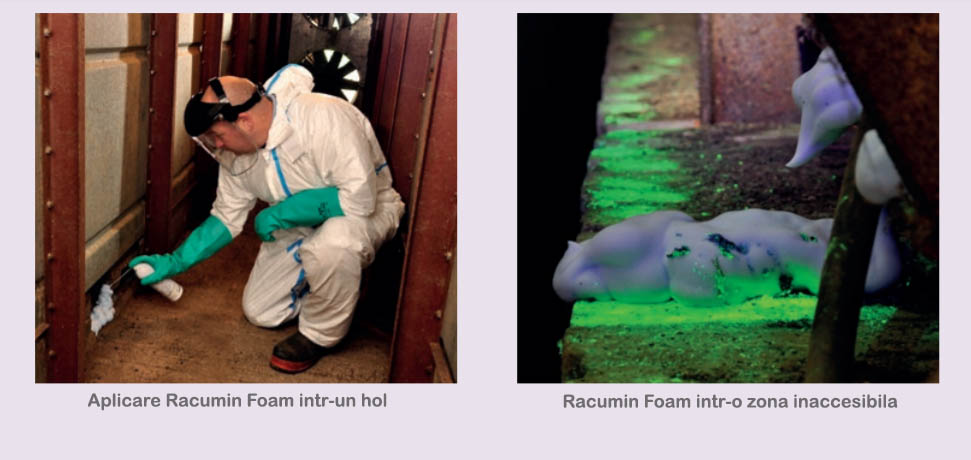 Ce combate Racumin Foam