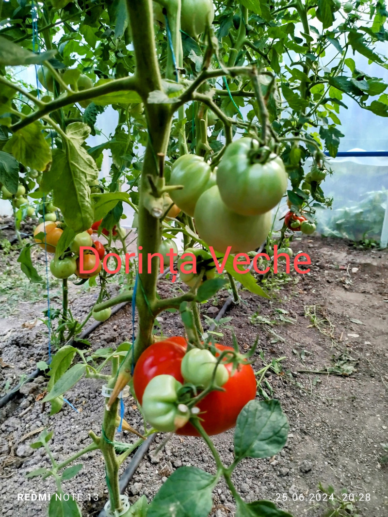 59ovfr1hvvbm8jltdqyg-thumbnail.jpg