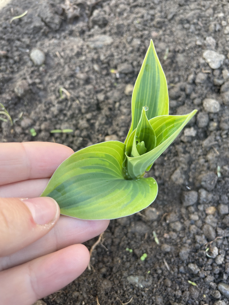 9zu0v9xijoierj5kvoqi-thumbnail.jpg