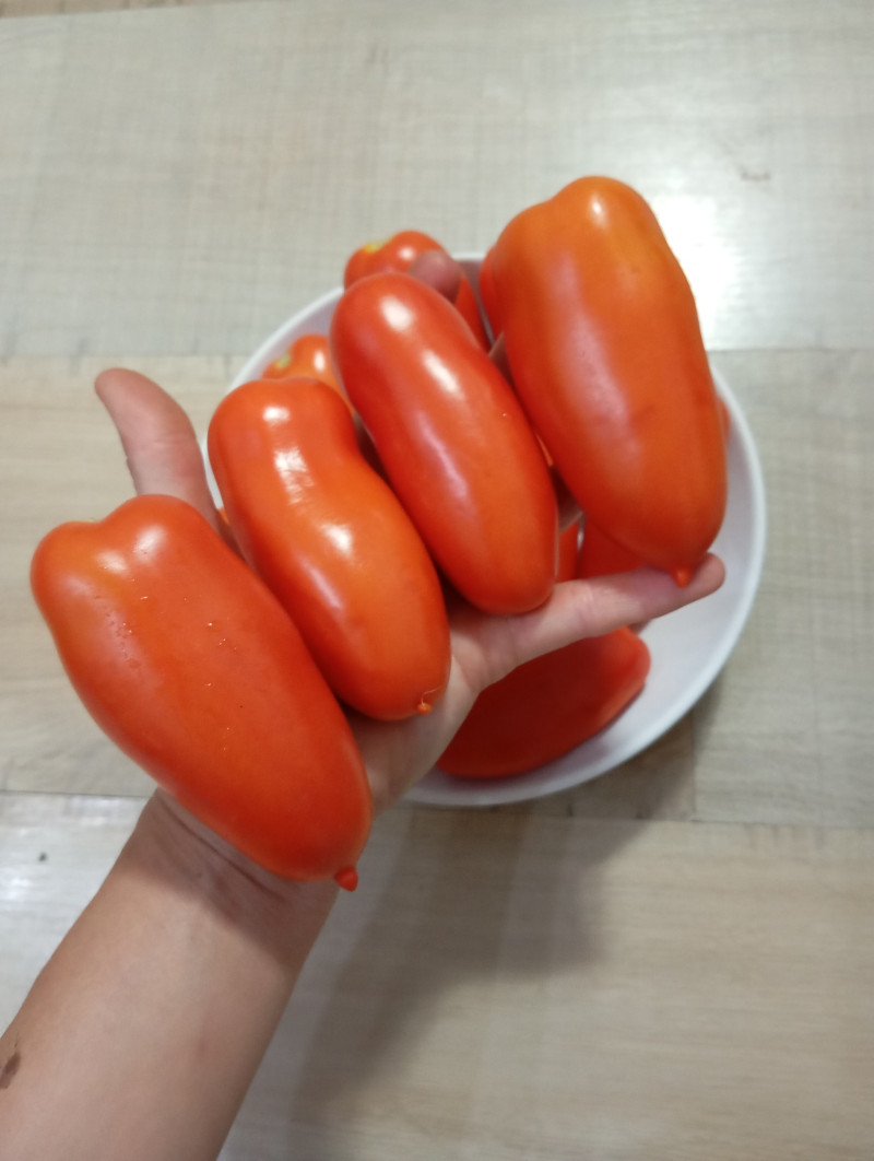 sjg34eaipmwj4xdaepjc-thumbnail.jpg