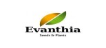 Evanthia Seeds & Plants