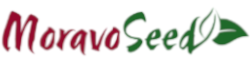 Moravo Seeds