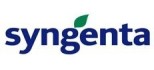 Syngenta - cultura mare