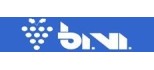 Bivi