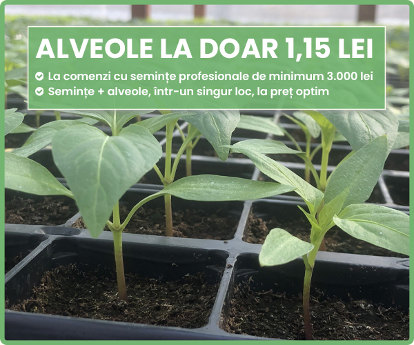 Palete alveolare